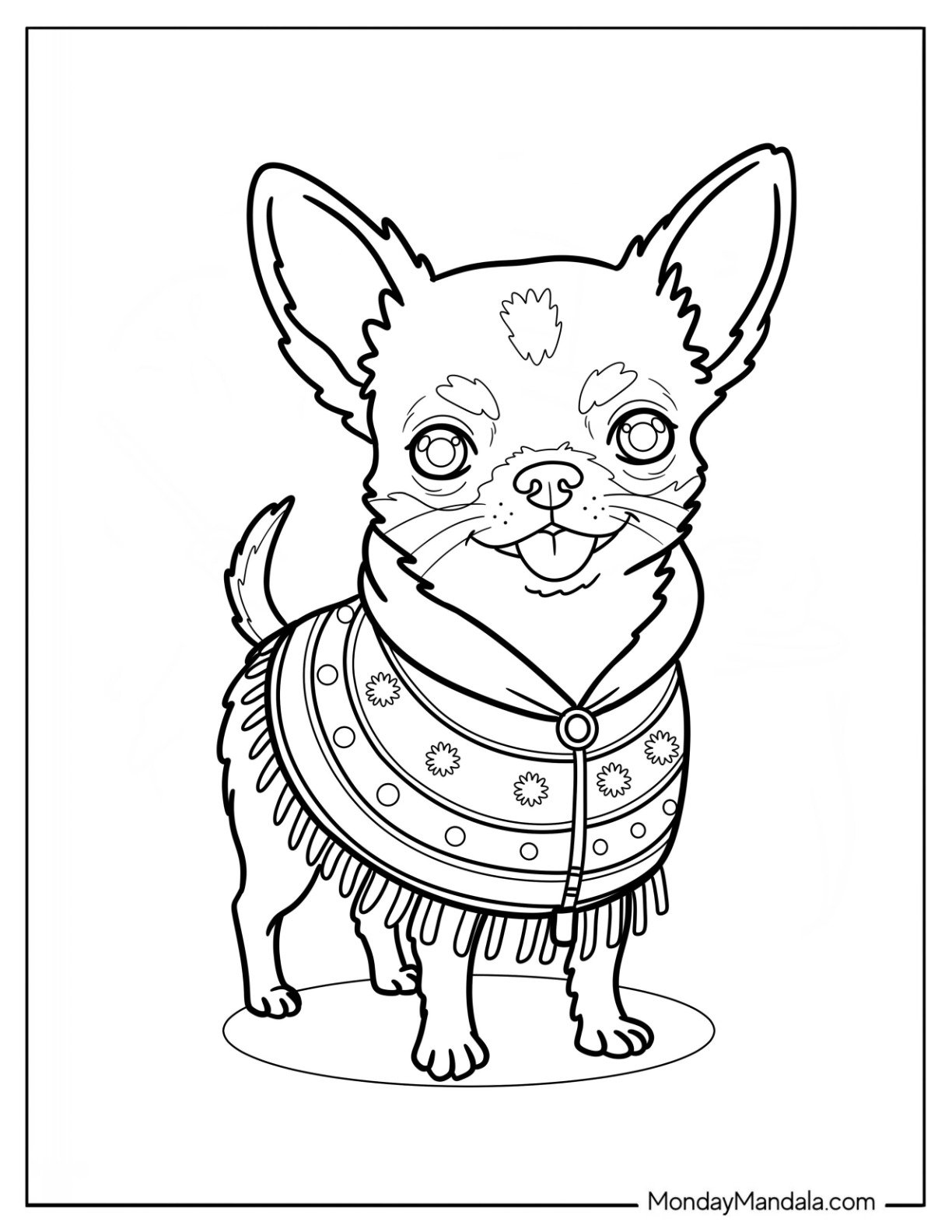 Smiling Chihuahua Coloring Page in a Pretty Poncho