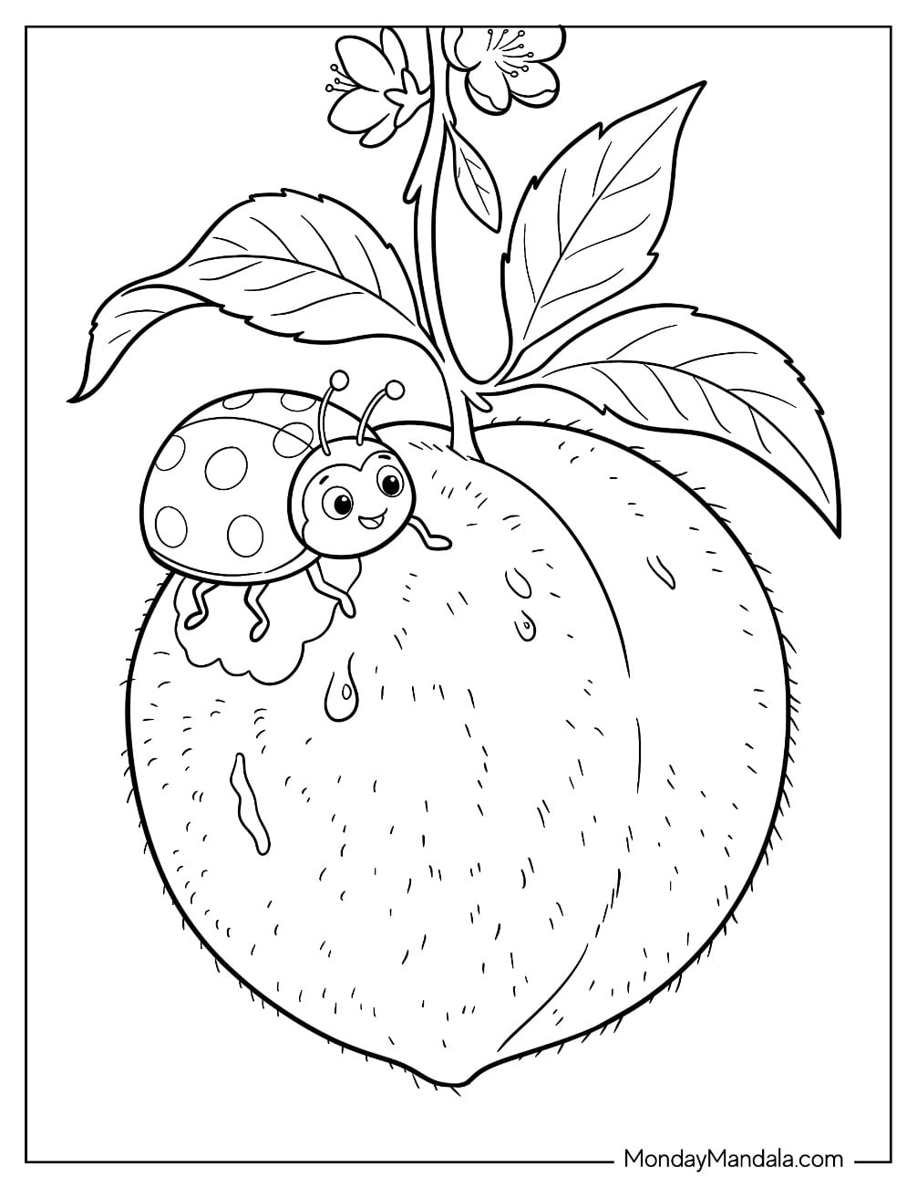 Smiling Ladybug on a Fruit Coloring Sheet for Kids