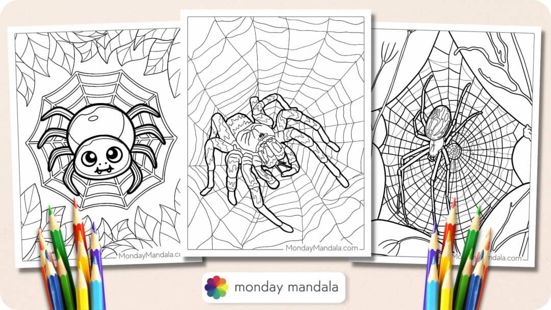 28 Spider Coloring Pages (Free PDF Printables)
