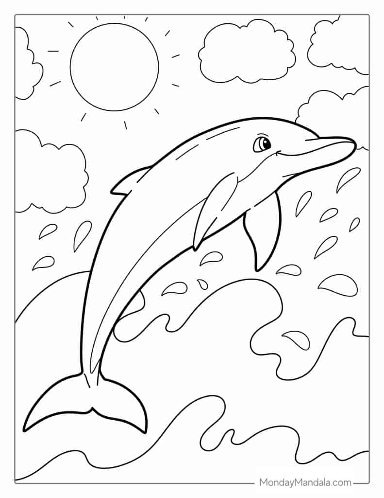 Dolphin Images For Colouring Pages Infoupdate