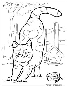 69 Cat Coloring Pages (Free PDF Printables)