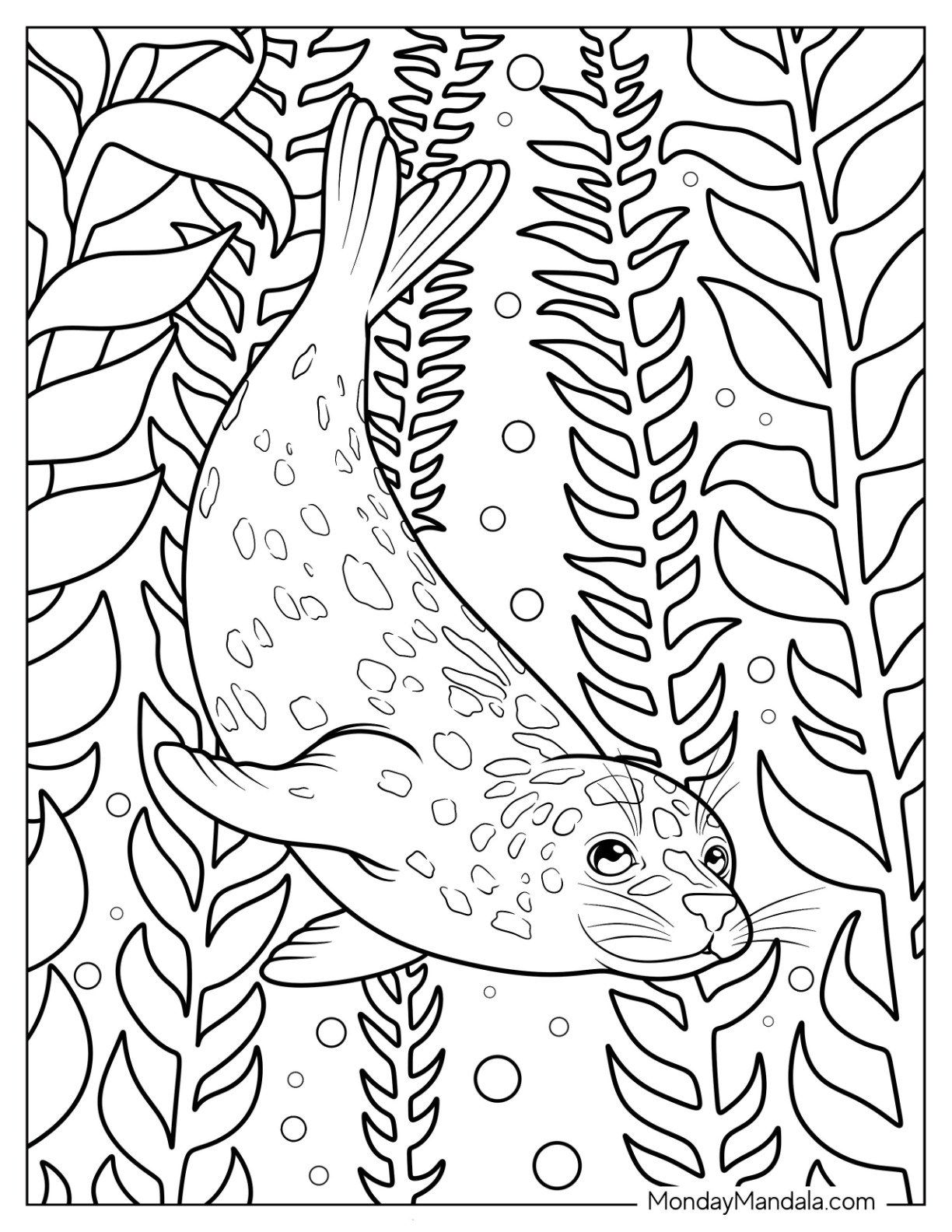 Spotted Seal Coloring Page Diving Deep Underwater