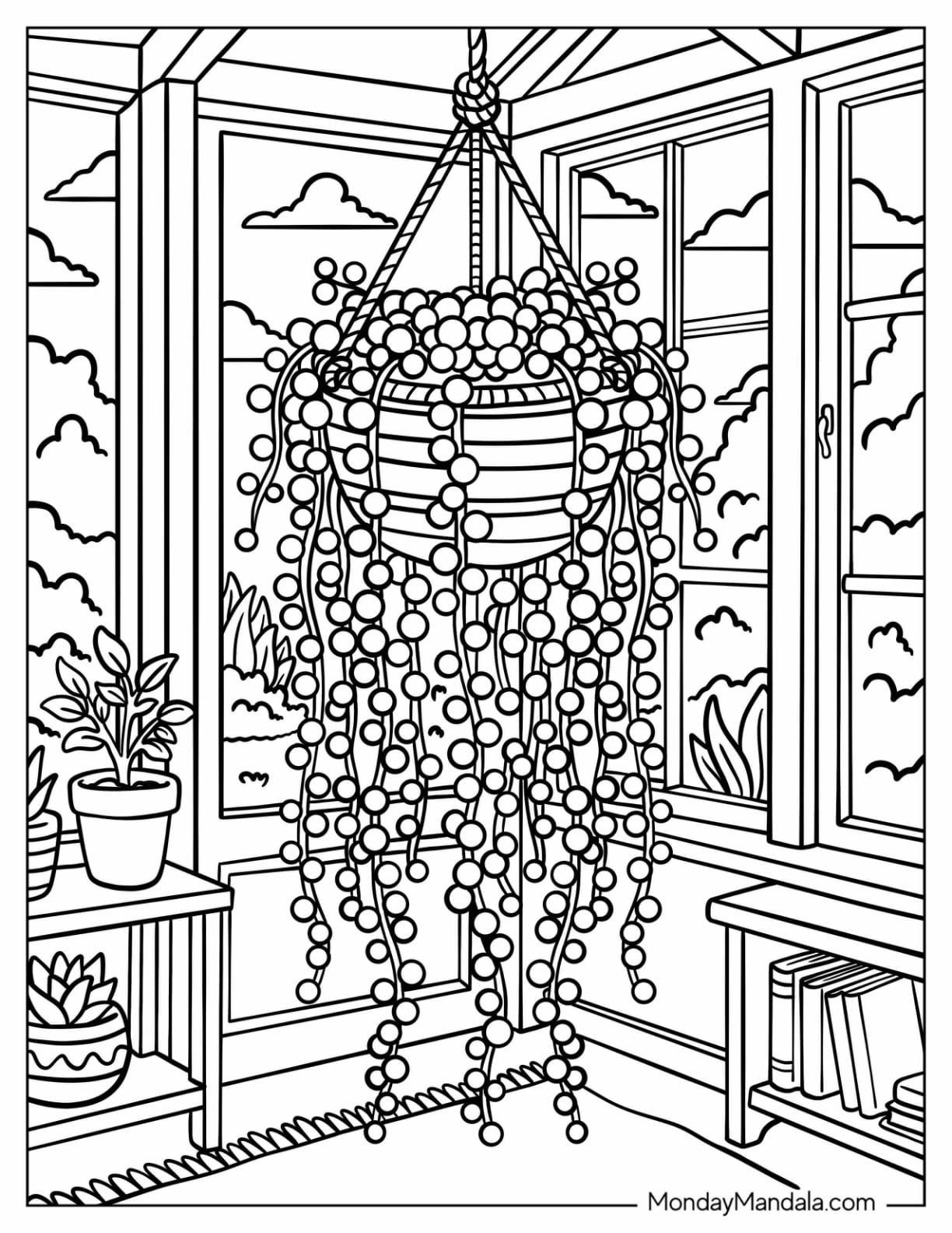 String of Pearls Succulent in a Hanging Basket by a Sunny Window Coloring Sheet
