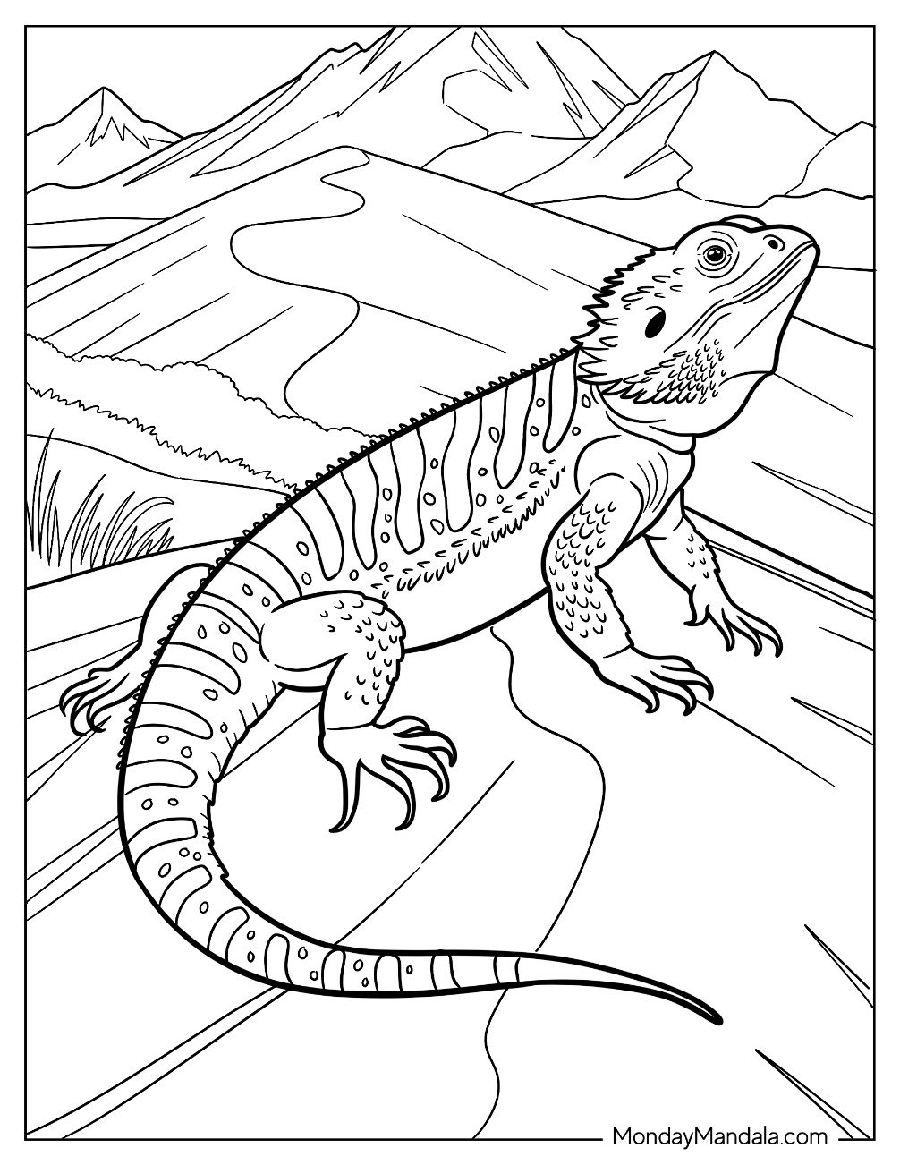 Striped Bearded Dragon Coloring Page on the Mountain