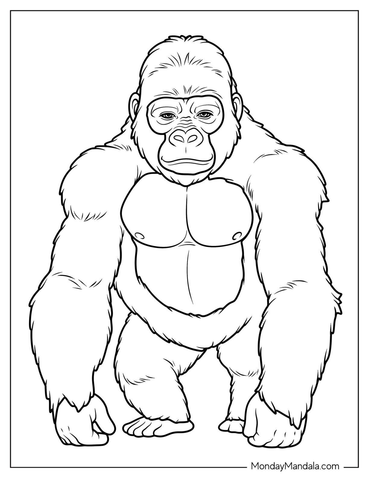 Strong Gorilla Coloring Page Standing Upright with a Calm Gaze
