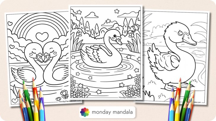 Swan Coloring Pages Featured Image v2