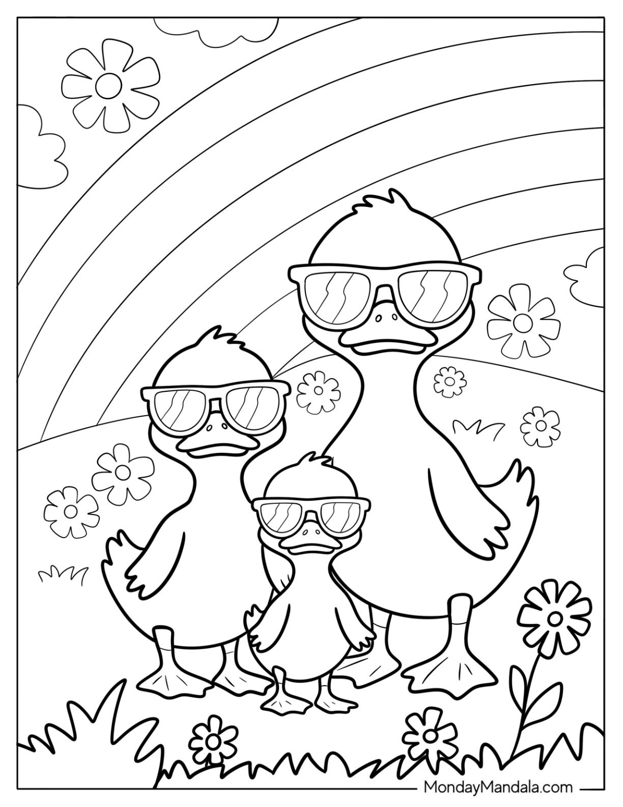 Three Cool Ducks Under A Rainbow