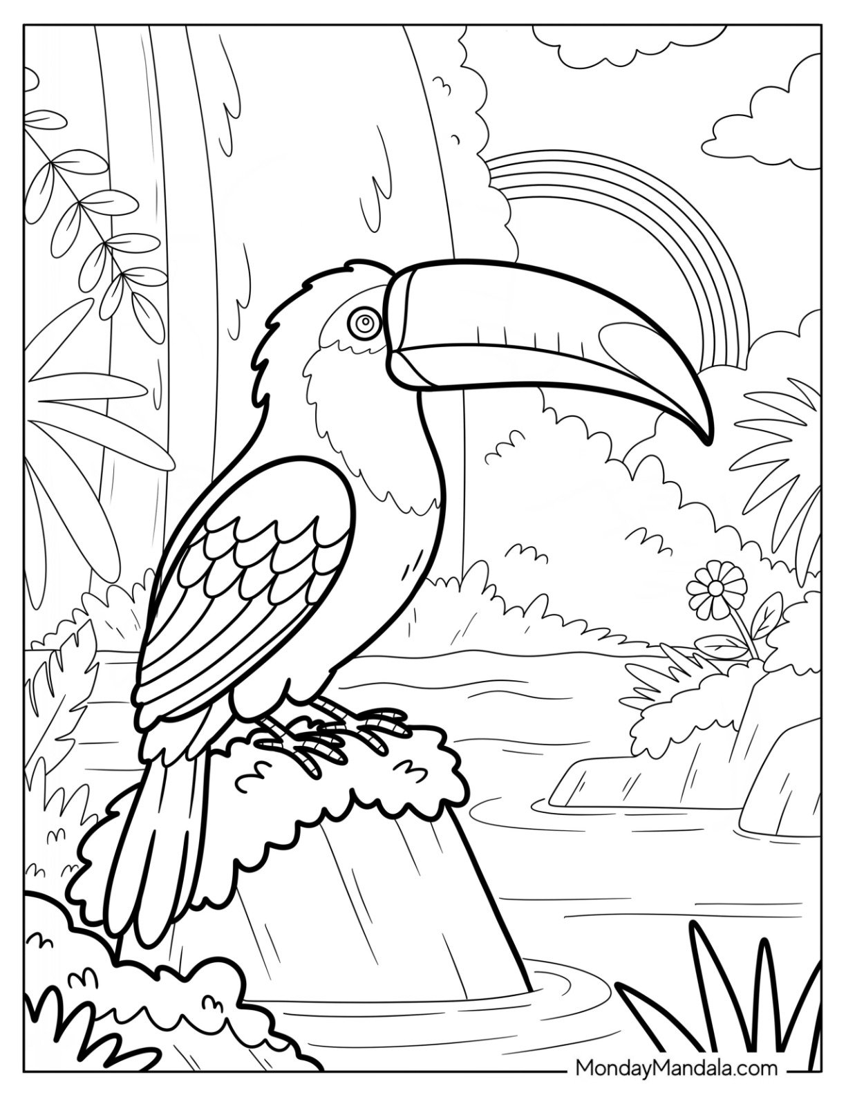 Toucan Coloring Page Perched on a Rock by a Waterfall with Rainbow