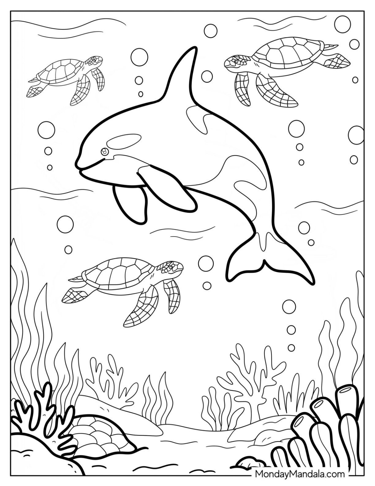 Tropical Sea Life with Coral, Turtles, and an Orca Coloring Page