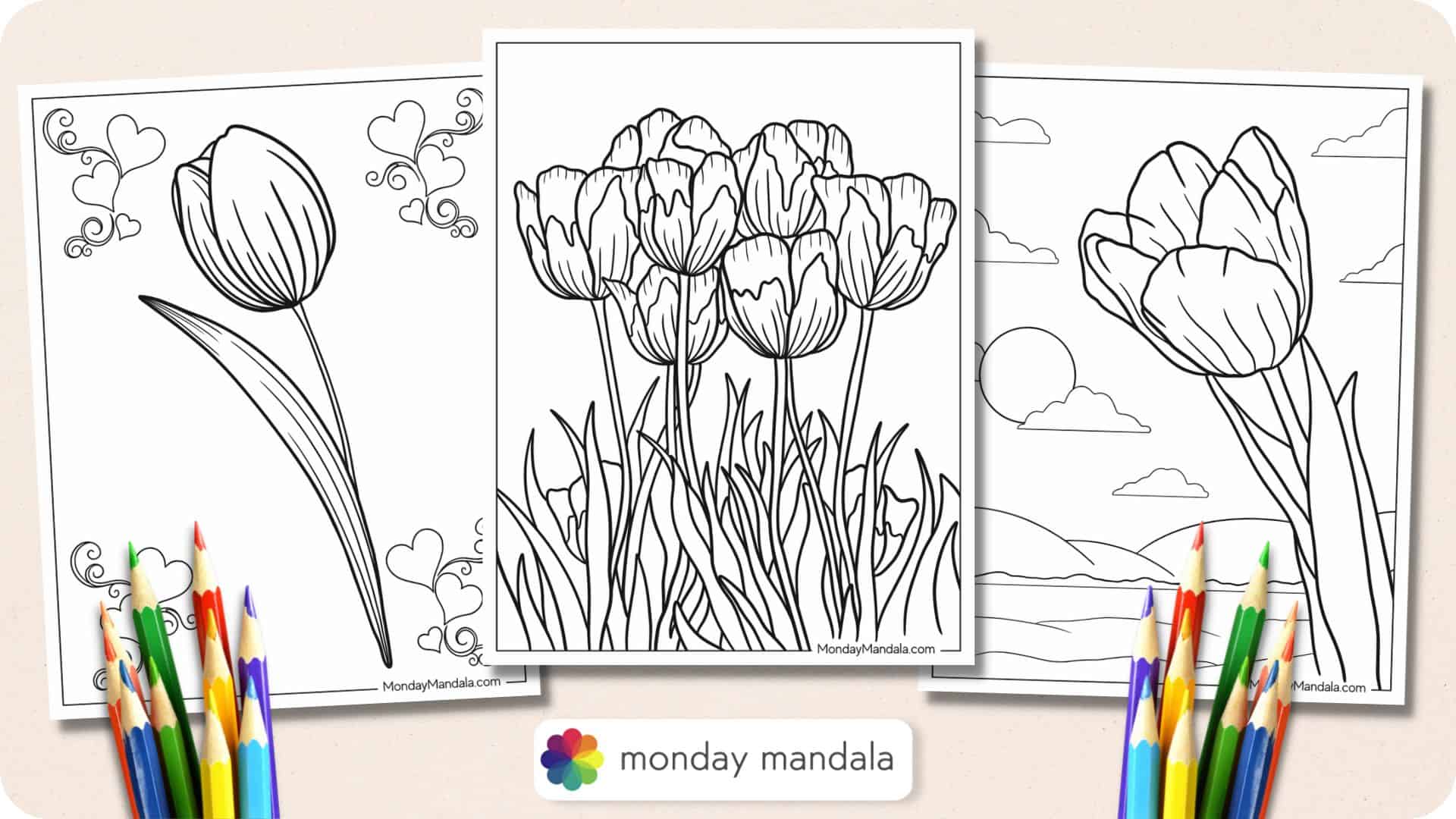 simple tulip coloring pages