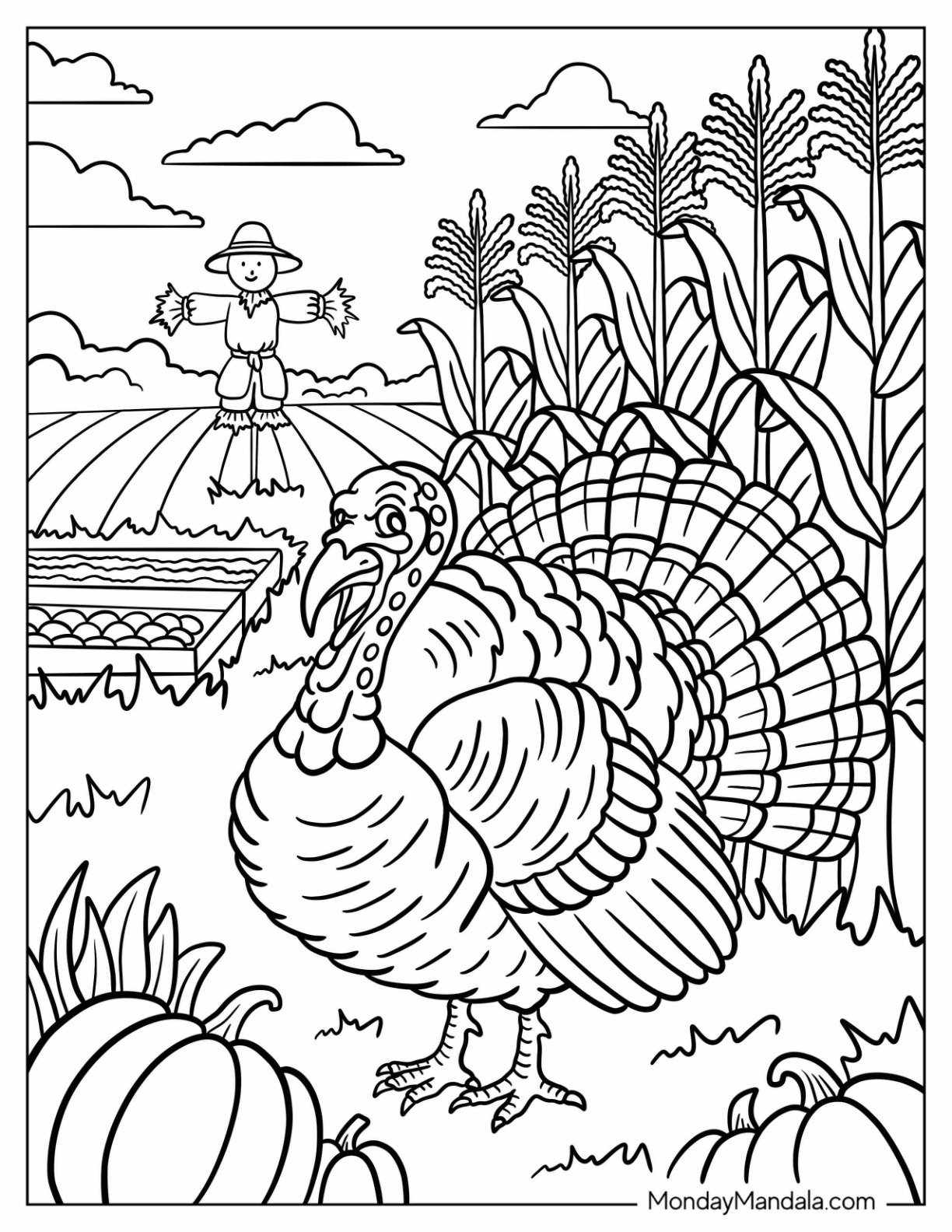 Farm Animal Coloring Page of Turkey Standing in Autumn Harvest Field with Corn and Pumpkins