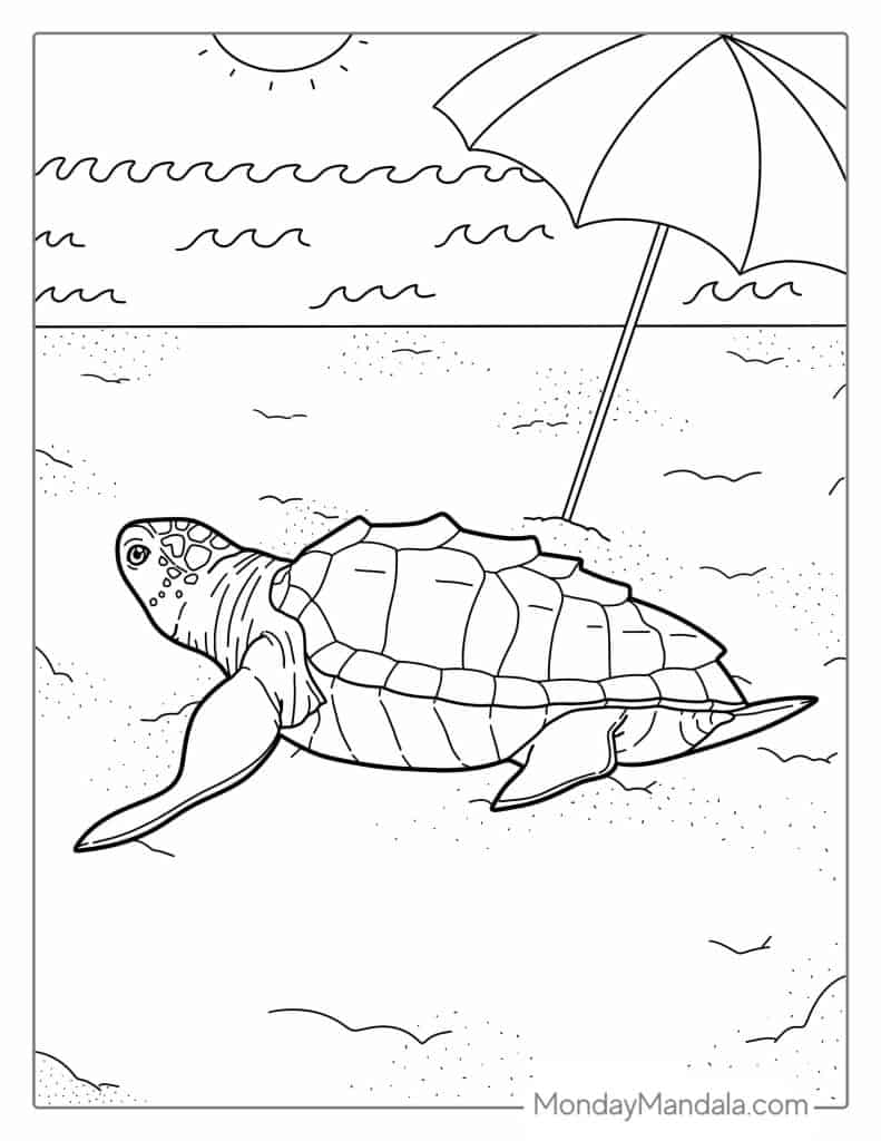 Printable Coloring Pages Sea Turtle 2025 Printable Coloring Pages Sea Turtle 2025