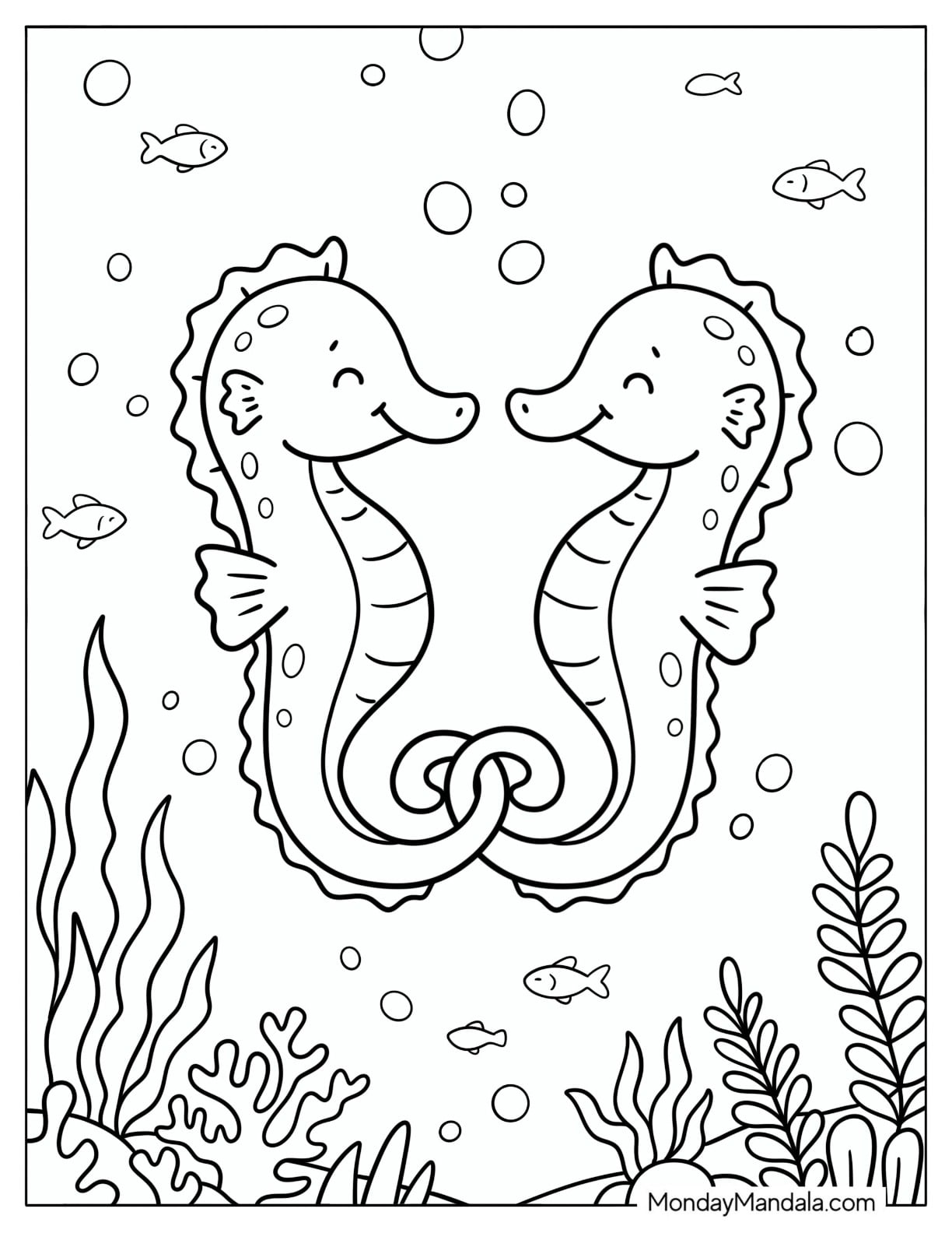 Two Baby Seahorses Smiling at Each Other