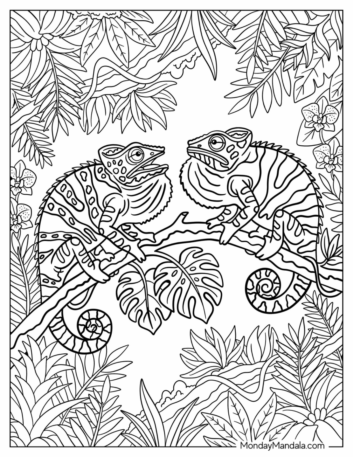 Two Chameleons Resting on a Tree Branch in a Tropical Garden