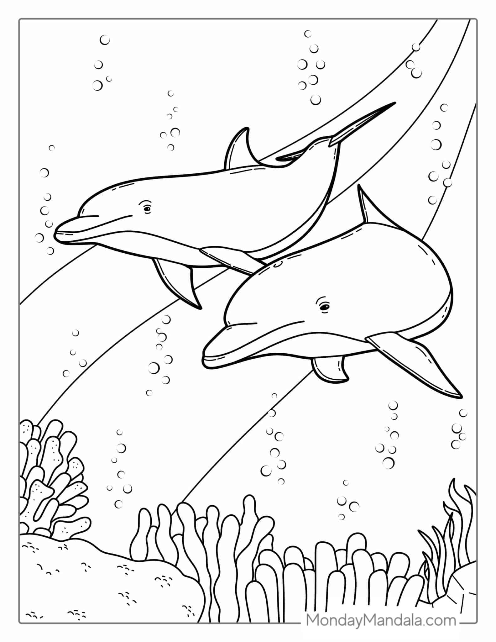 34 Dolphin Coloring Pages (Free PDF Printables)