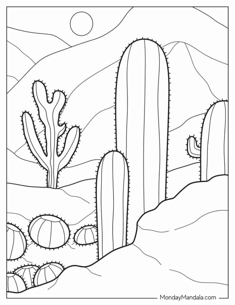 Printable Cactus Coloring Pages, Set of 3 Coloring Sheets for