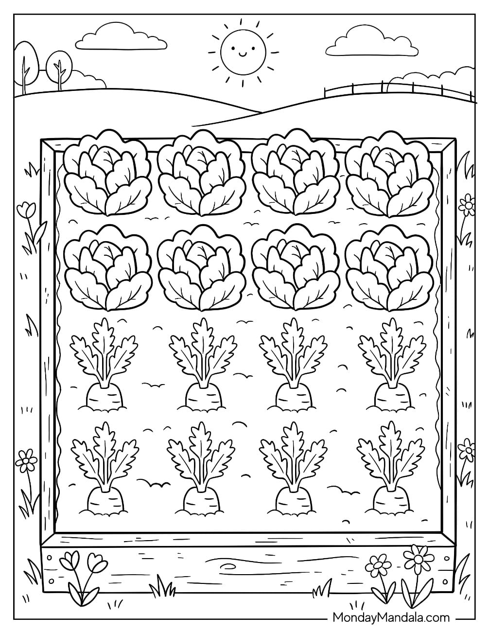Vegetable Garden with Cabbage and Radish Rows Coloring Page
