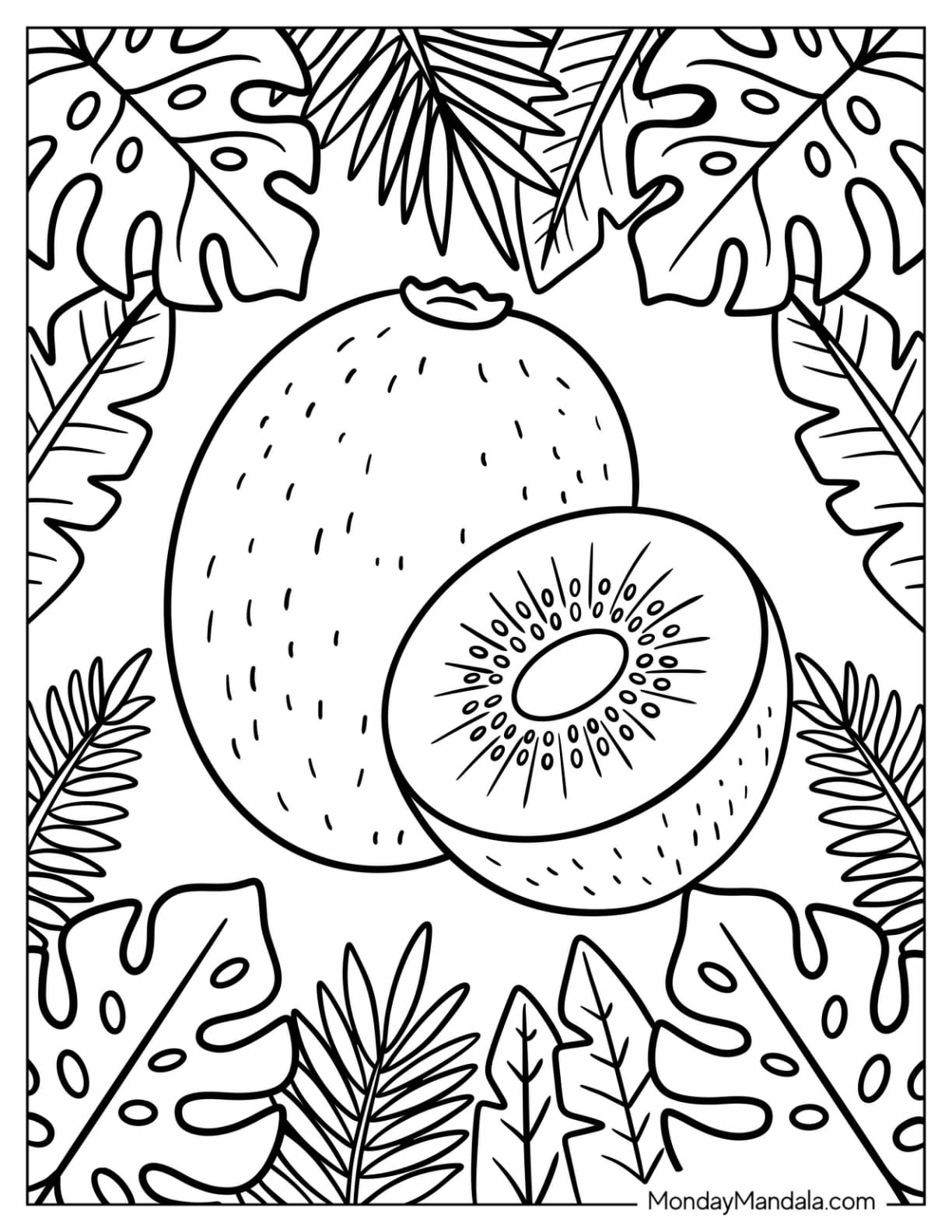 Whole and Halved Kiwi Surrounded by Leaves