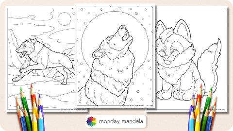 26 Wolf Coloring Pages (Free PDF Printables)