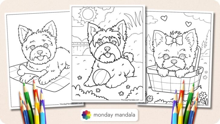 Yorkie Coloring Pages Featured Image