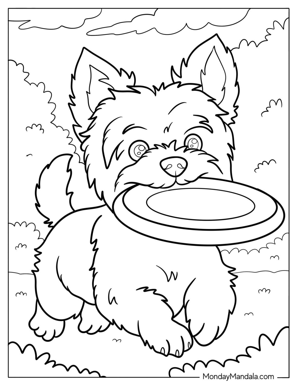 Yorkie Coloring Page of Running with Frisbee on a Sunny Day