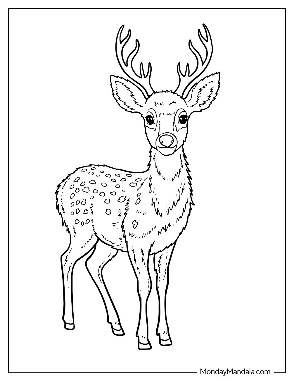 Young Spotted Deer Coloring Page with Antler