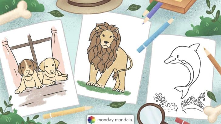 animal coloring pages feature image