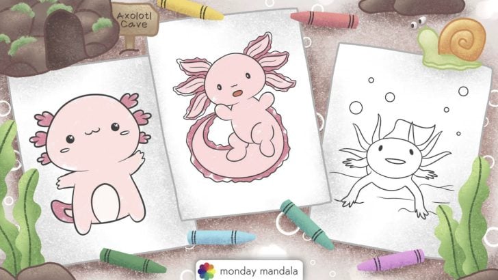 axolotl coloring pages feature image