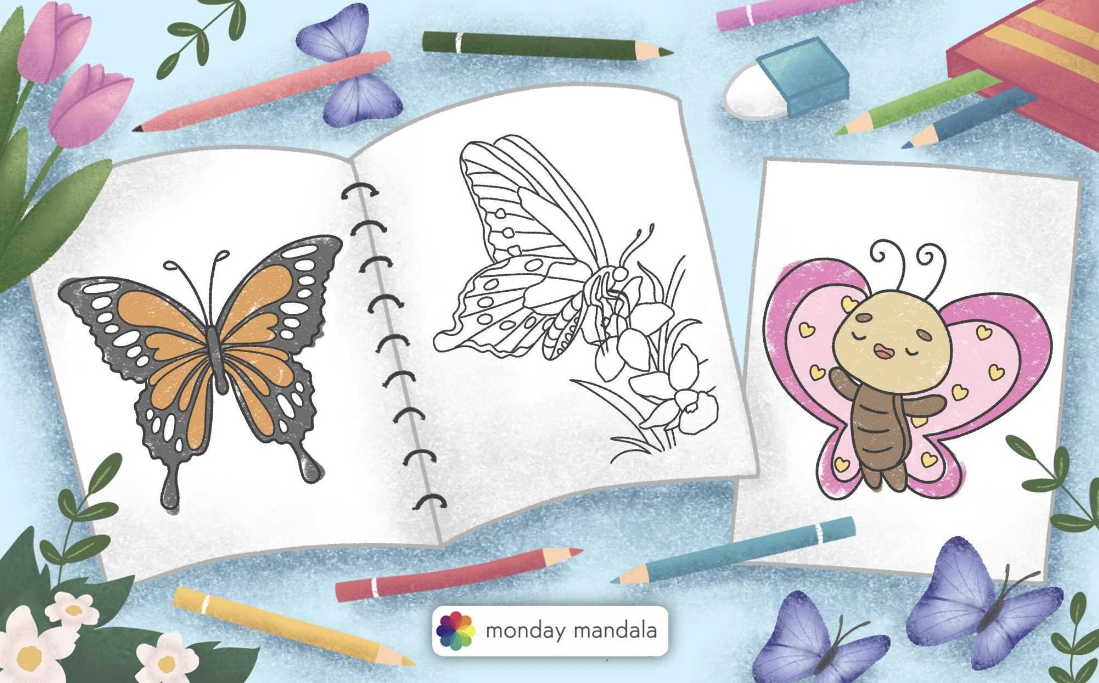 How to use coloured pencils to draw a butterfly