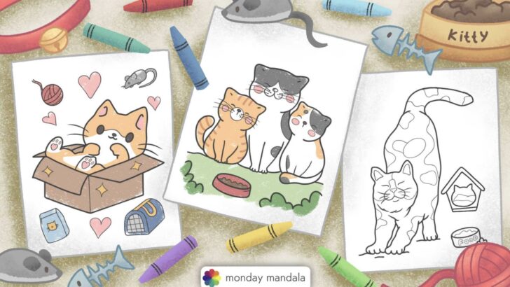 cat coloring pages featured image