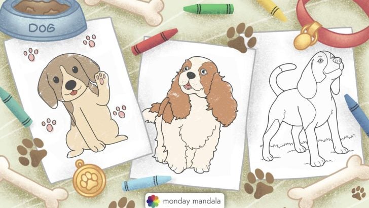 dog coloring pages feature image