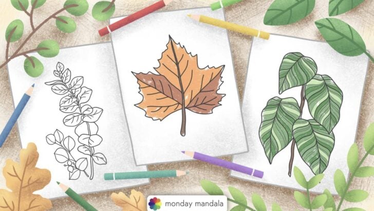 leaf coloring pages feature image