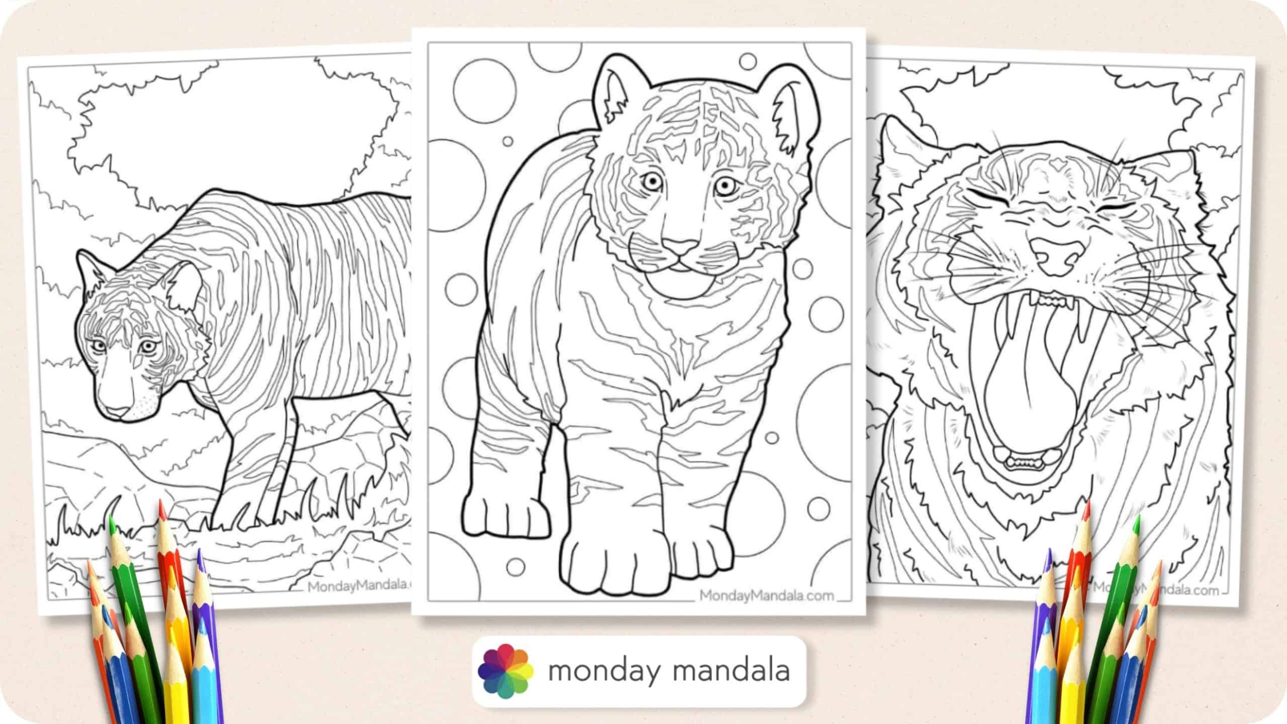 Cute Baby Tiger Coloring Pages - Free & Printable!