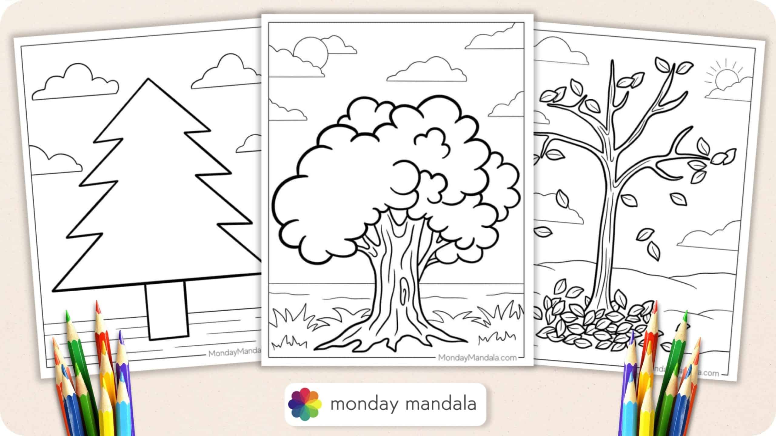 free pine tree coloring pages