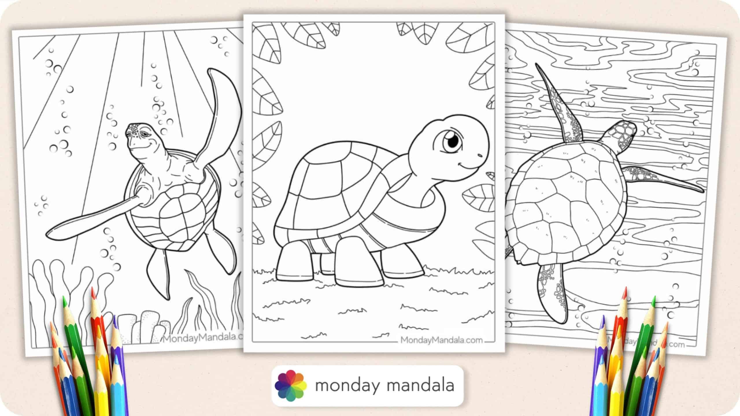 cute coloring pages of baby turtles