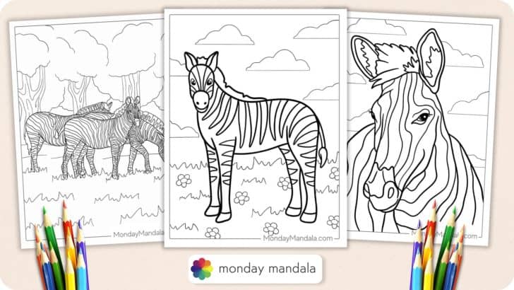zebra coloring pages featured image