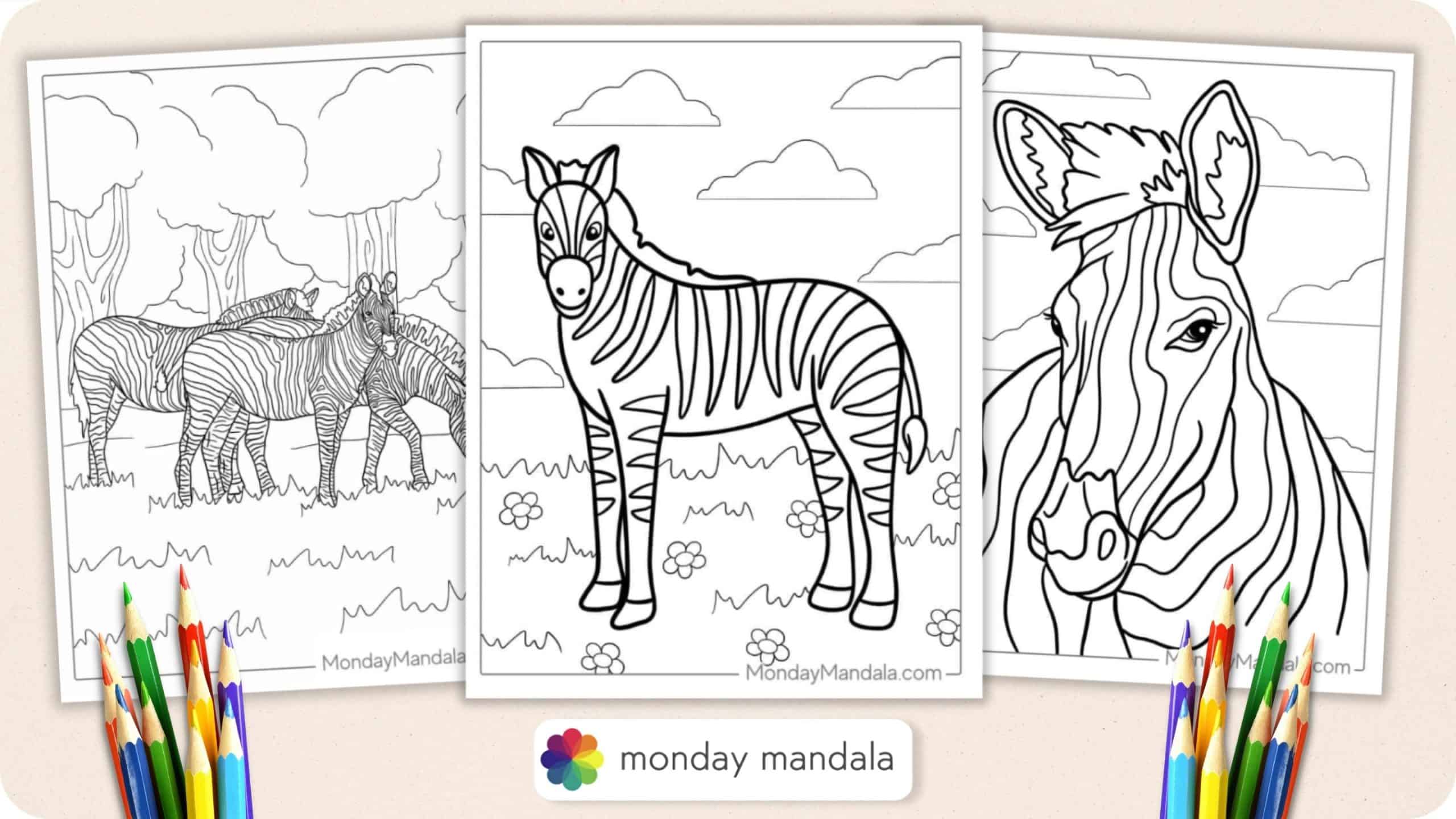 z is for zebra coloring pages